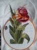DSC_0529.thumb.jpg.2028e5e91403c2f8dc835