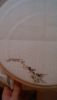DSC_0618.thumb.JPG.9b974b17f2a1b6ef8372d