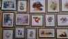 DSC_4442.thumb.jpg.622e7204e06300ebb745c