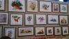 DSC_4443.thumb.jpg.b60d1f1aa0eedb349ea75