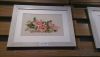 DSC_4448.thumb.jpg.d9e96fe15e26f417ccb38