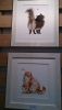 DSC_4451.thumb.jpg.ee859f88b8c83b4ab4a4d