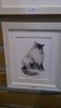 DSC_4452.thumb.jpg.964611c348441146a7d30