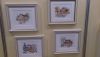 DSC_4485.thumb.jpg.7626ae90b6daf31bcc885