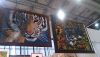 DSC_4490.thumb.jpg.ee93b89aa3554f3d6e1a4