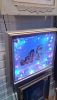 DSC_4517.thumb.jpg.801f9a8e727024ce70466