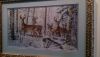 DSC_4519.thumb.jpg.308f29ad01beea1c4c6bd