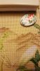IMG-1455129792740-V.thumb.jpg.a4a8c0a026