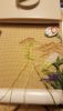 IMG-1455131596185-V.thumb.jpg.434c735ebc