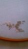 IMG-1455690745978-V.thumb.jpg.660d0e2812