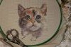 IMG_0464.thumb.JPG.c3c298add357905918208