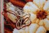 IMG_0588.thumb.JPG.86eaadc25106766bb796a
