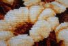 IMG_0593.thumb.JPG.b7b5eb5d534359e67997a