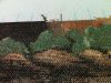 IMG_1045.thumb.JPG.1e39fbe31108c4bfaa382
