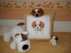 IMG_1851.thumb.JPG.4d5cdea7017bb1ddc6cb9