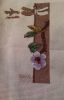 IMG_2016-01-19_192214_1453215338902.thum