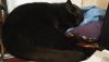 IMG_20160110_003404.thumb.jpg.c2b12a537f