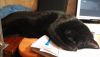 IMG_20160128_214816.thumb.jpg.e974eb7e69