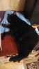 IMG_20160129_222530.thumb.jpg.8cd28500a1