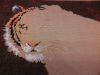 IMG_20160202_233217.thumb.jpg.023e32b1d6