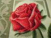 IMG_20160207_020243.jpg