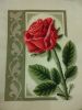 IMG_20160207_020416.thumb.jpg.d496c065a2