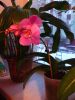 IMG_20160207_171449.thumb.jpg.b54a03aedd