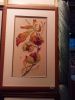IMG_20160211_154809.thumb.jpg.4c8536f4a3