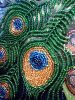 IMG_20160212_011207.thumb.jpg.05d9c7d63c