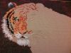 IMG_20160214_215742.thumb.jpg.f3891bd9e3