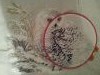 IMG_20160224_204313.jpg