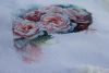 IMG_3021.thumb.JPG.efc18799e35e0259ce1c9
