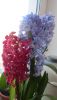 IMG_9820.thumb.JPG.8658db429cb083e9167c3
