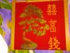 Lenovo_A1000_IMG_20160218_232011.jpg
