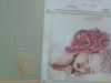 Lenovo_A1000_IMG_20160228_165313.jpg