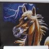 P1090500.thumb.JPG.2d1e78ab2a061f88bd440