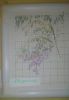 RBkAtd1AWRc.thumb.jpg.a62a6a7bf67b39b549