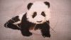 WP_20160227_21_01_38_Smart_jpg_e5a2e1ce6