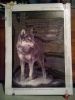 WP_20160227_21_26_46_Pro.thumb.jpg.c3887