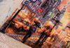 _IMG_4490.thumb.jpg.99a16a85b24bed5d8fac