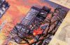 _IMG_4492.thumb.jpg.1ec36bb1cee4e0c66628