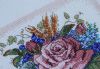 _IMG_4587.thumb.jpg.107fe4a94278a0d522cc