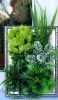 a12.thumb.jpg.23cbec08f50db55b8ee09136ae