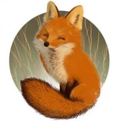 Red fox