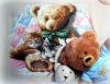 image.thumb.jpeg.4a8e0d5e189a126314b0a14