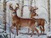 image.thumb.jpeg.be16e8e79b7d7dca951631c