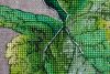 image.thumb.jpeg.cea0b21a702a293f2bb950e