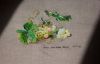 image.thumb.jpeg.ceda738ecbf09e5858300e6