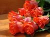 img_190545.jpeg