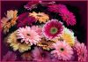 0_29fc8_471e47ac_XL.thumb.jpg.32aeb46e63